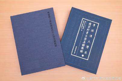 2025澳门和香港门和香港精准正版免费,全面释义、专家解析解释与落实与警惕虚假宣传 解析与释义